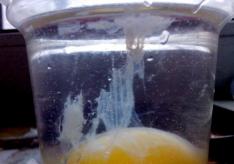 Как определить наличие порчи и снять негатив яйцом
